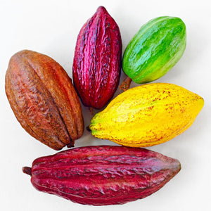 Where Does Our Cacao Come From?