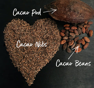 Cacao vs. Cocoa : Is there a difference?